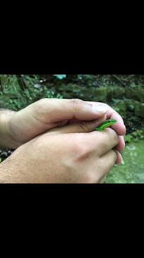 御菓子御殿　名護店　やんばる亜熱帯の森DINO恐竜PARKに投稿された画像（2020/10/11）