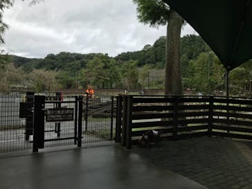 わんダフルネイチャーヴィレッジに投稿された画像（2020/10/11）