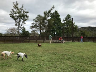 わんダフルネイチャーヴィレッジに投稿された画像（2020/10/11）