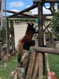 天王寺動物園に投稿された画像（2020/10/11）