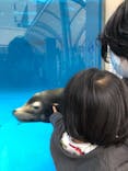 サンシャイン水族館に投稿された画像（2020/10/11）