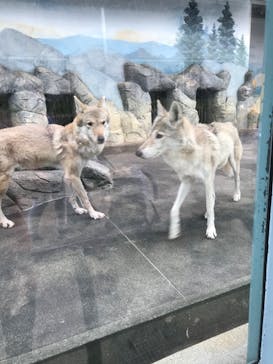 天王寺動物園に投稿された画像（2020/10/11）