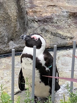 サンシャイン水族館に投稿された画像（2020/10/11）