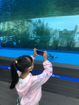 サンシャイン水族館に投稿された画像（2020/10/11）