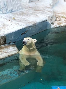 天王寺動物園に投稿された画像（2020/10/11）
