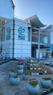 九十九島水族館海きららに投稿された画像（2020/10/11）