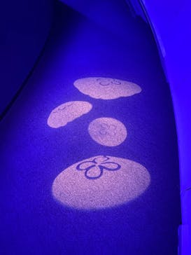 九十九島水族館海きららに投稿された画像（2020/10/11）