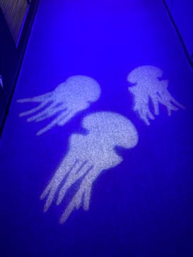 九十九島水族館海きららに投稿された画像（2020/10/11）