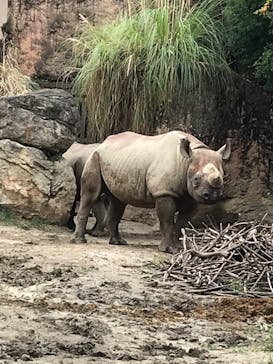天王寺動物園に投稿された画像（2020/10/11）