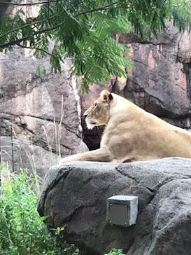 天王寺動物園に投稿された画像（2020/10/11）