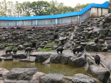 奥飛騨クマ牧場に投稿された画像（2020/10/11）