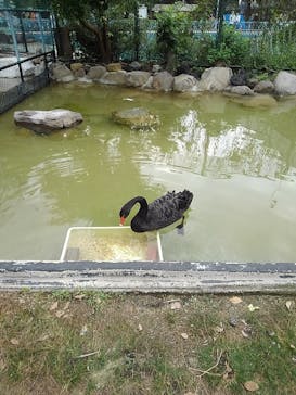 天王寺動物園に投稿された画像（2020/10/11）