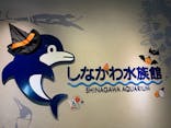 しながわ水族館に投稿された画像（2020/10/11）