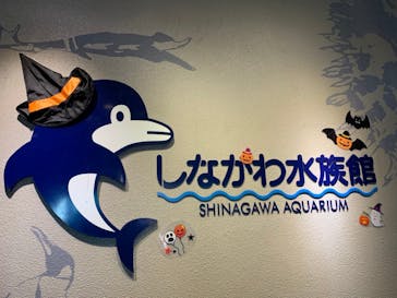 しながわ水族館に投稿された画像（2020/10/11）