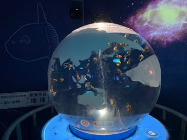 しながわ水族館に投稿された画像（2020/10/11）