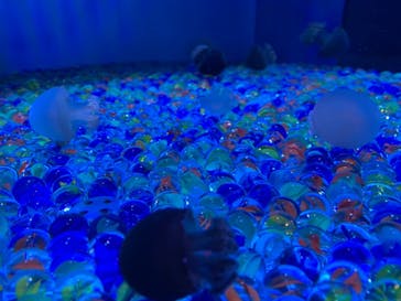 しながわ水族館に投稿された画像（2020/10/11）