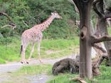 天王寺動物園に投稿された画像（2020/10/11）