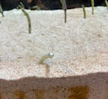 すみだ水族館に投稿された画像（2020/10/11）