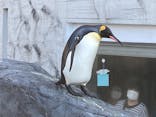 旭川市旭山動物園に投稿された画像（2020/10/11）