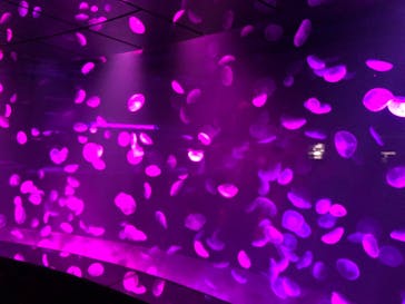 サンシャイン水族館に投稿された画像（2020/10/11）