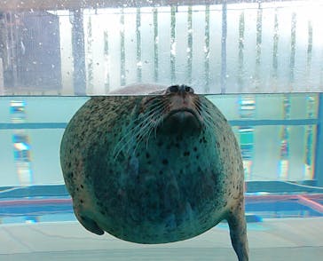 京都水族館に投稿された画像（2020/10/11）