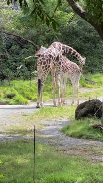 天王寺動物園に投稿された画像（2020/10/11）