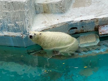 天王寺動物園に投稿された画像（2020/10/11）