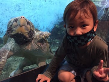 天王寺動物園に投稿された画像（2020/10/11）