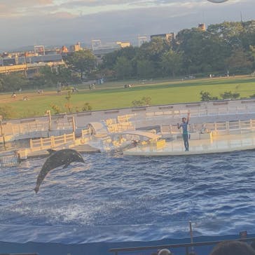 京都水族館に投稿された画像（2020/10/11）