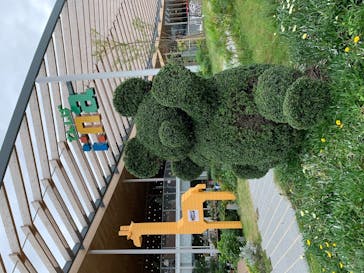 天王寺動物園に投稿された画像（2020/10/11）