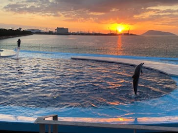 四国水族館に投稿された画像（2020/10/11）