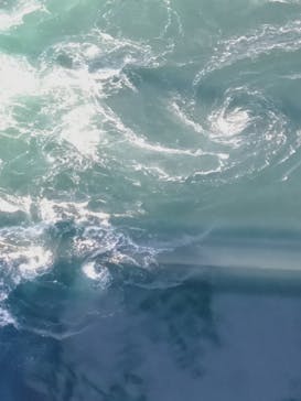 徳島県立 渦の道に投稿された画像（2020/10/11）