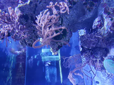 すみだ水族館に投稿された画像（2020/10/11）