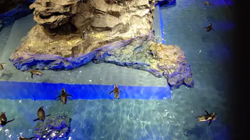 すみだ水族館に投稿された画像（2020/10/11）