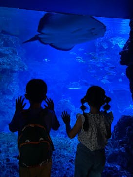 京都水族館に投稿された画像（2020/10/12）