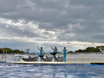 京都水族館に投稿された画像（2020/10/12）