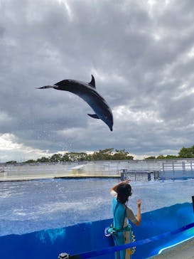 京都水族館に投稿された画像（2020/10/12）