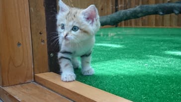 神戸どうぶつ王国に投稿された画像（2020/10/12）