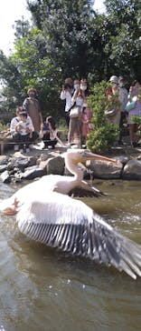 神戸どうぶつ王国に投稿された画像（2020/10/12）