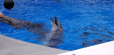九十九島水族館海きららに投稿された画像（2020/10/12）