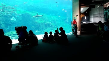 九十九島水族館海きららに投稿された画像（2020/10/12）