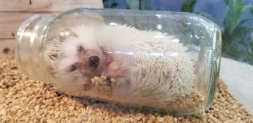 九十九島水族館海きららに投稿された画像（2020/10/12）