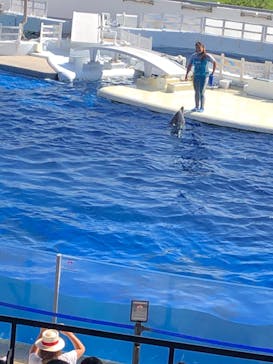 京都水族館に投稿された画像（2020/10/12）