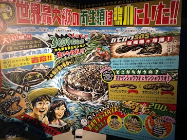 京都水族館に投稿された画像（2020/10/12）