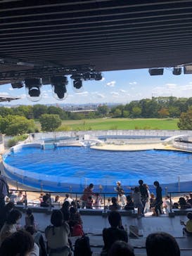京都水族館に投稿された画像（2020/10/12）