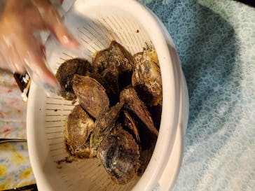 しながわ水族館に投稿された画像（2020/10/12）