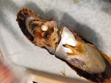 しながわ水族館に投稿された画像（2020/10/12）