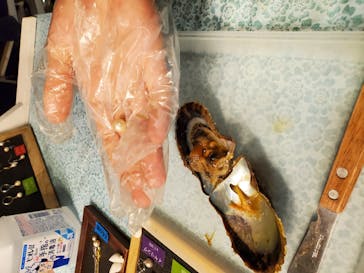 しながわ水族館に投稿された画像（2020/10/12）