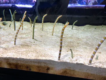 すみだ水族館に投稿された画像（2020/10/12）