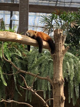 神戸どうぶつ王国に投稿された画像（2020/10/12）